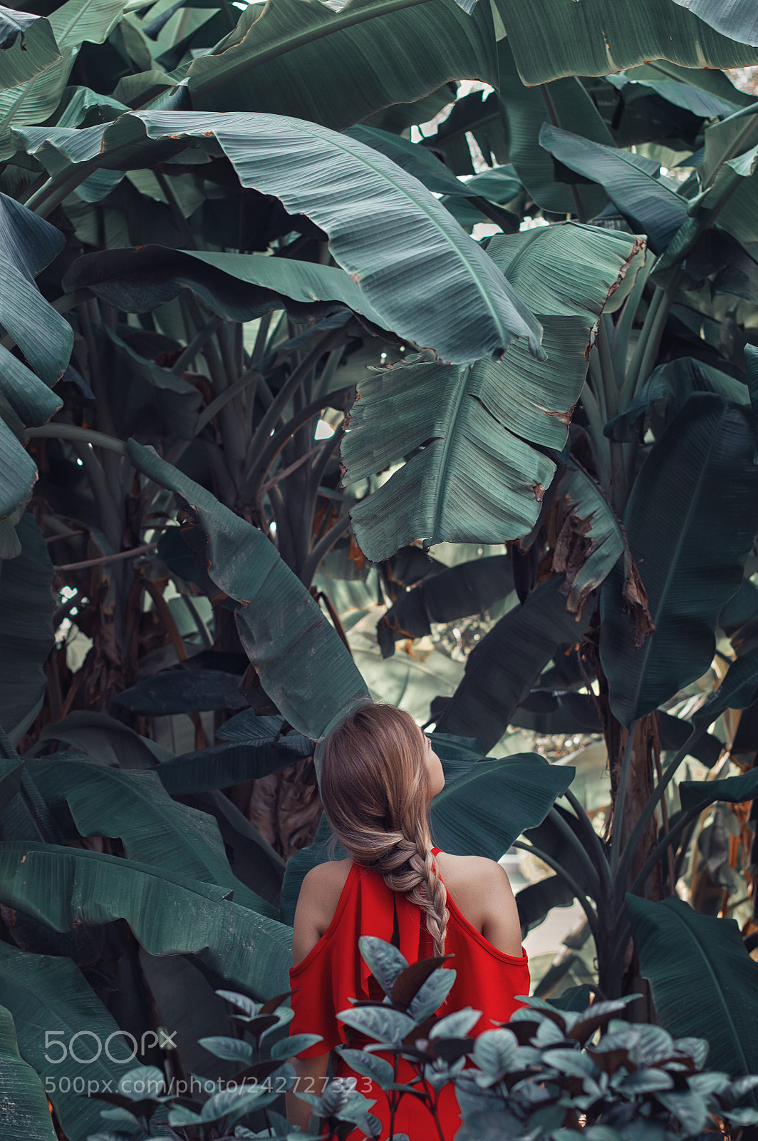 Nikon D3200 sample photo. Young woman in red photography