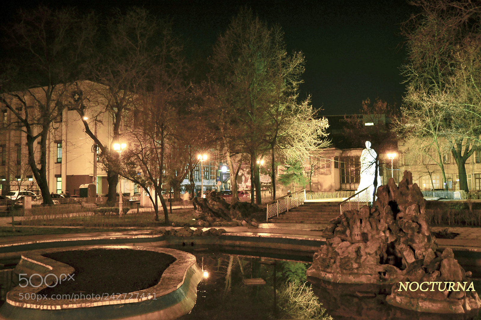 Nikon D3100 sample photo. Nocturna photography