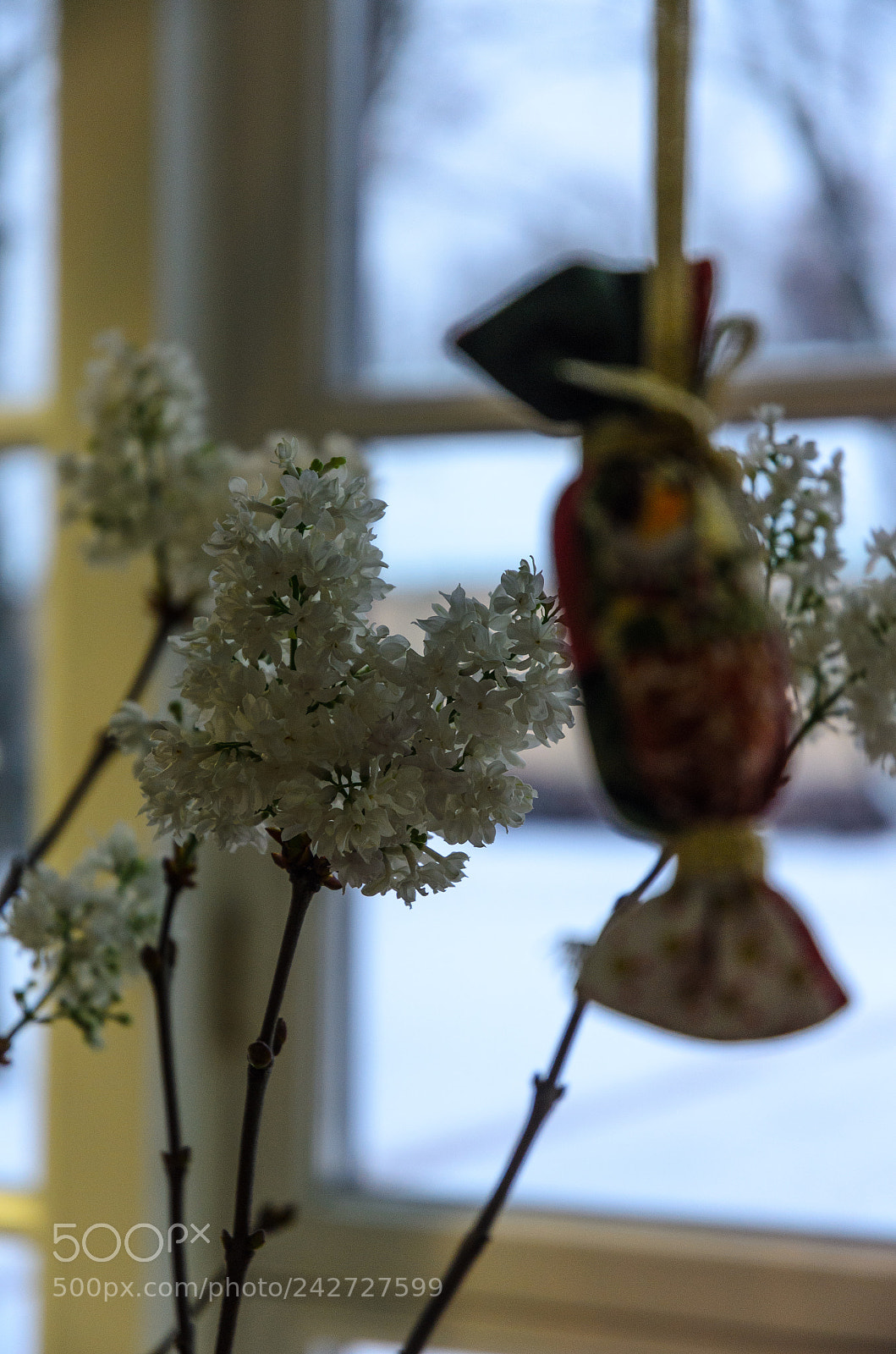 Nikon D5100 sample photo. 272 photography