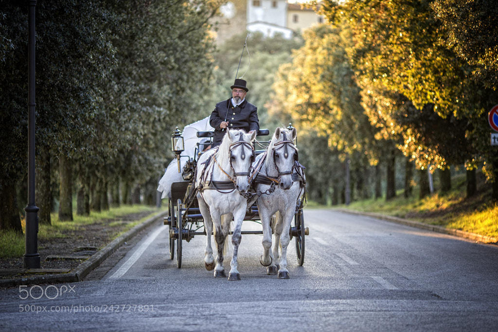Canon EOS-1D X sample photo. Alessandro e benedetta photography
