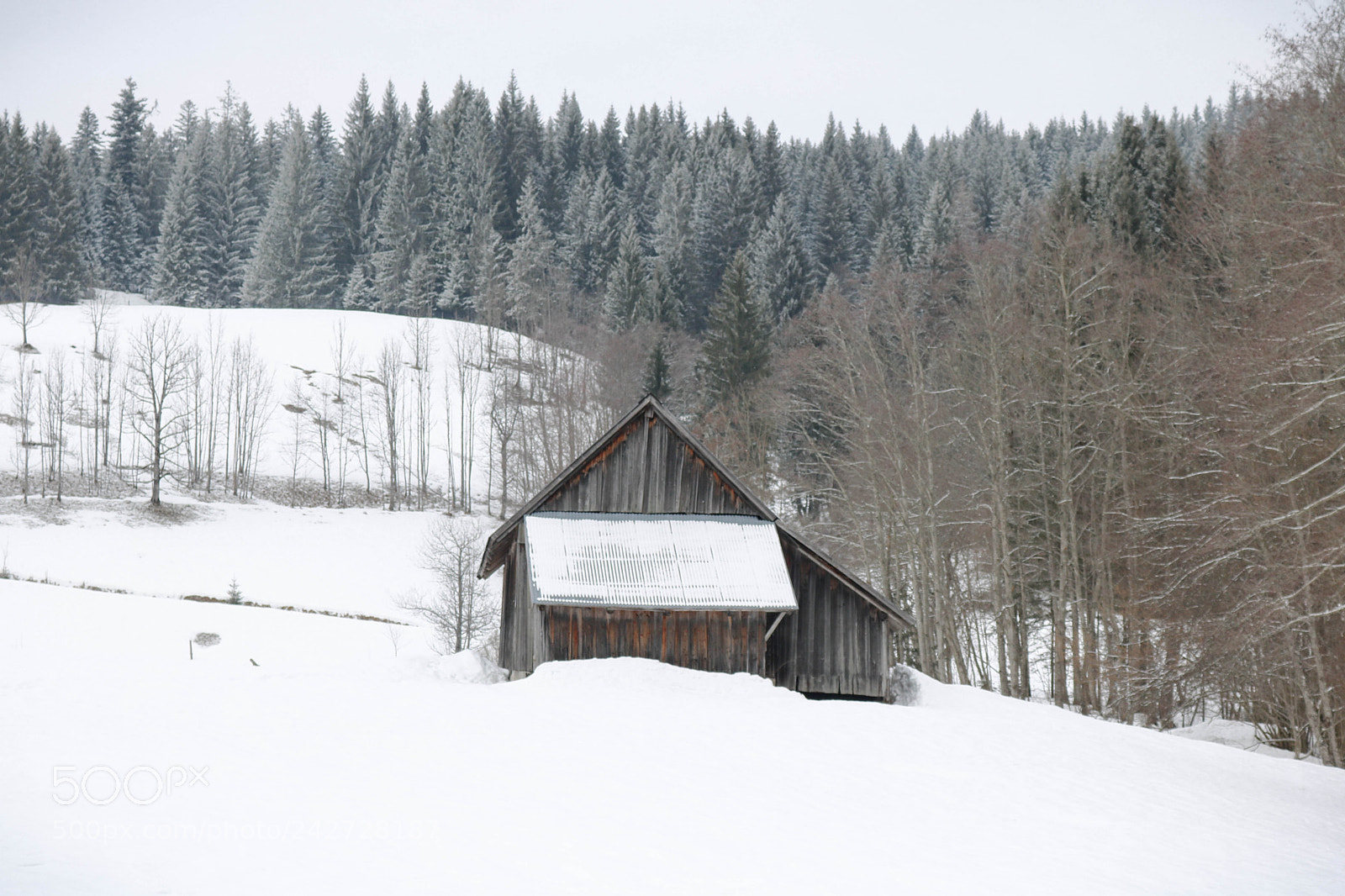 Canon EOS 750D (EOS Rebel T6i / EOS Kiss X8i) sample photo. Winter... photography