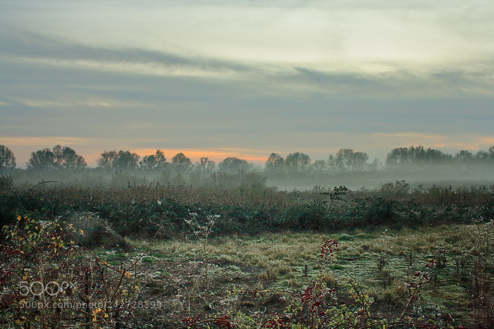 Canon EOS 1000D (EOS Digital Rebel XS / EOS Kiss F) sample photo. Mist at the lakes photography