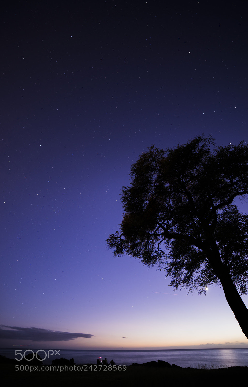 Nikon D800 sample photo. Lonesome tree photography