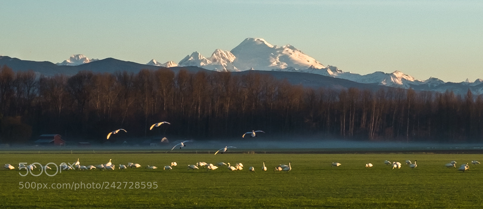Fujifilm X100T sample photo. Mt. baker watching photography