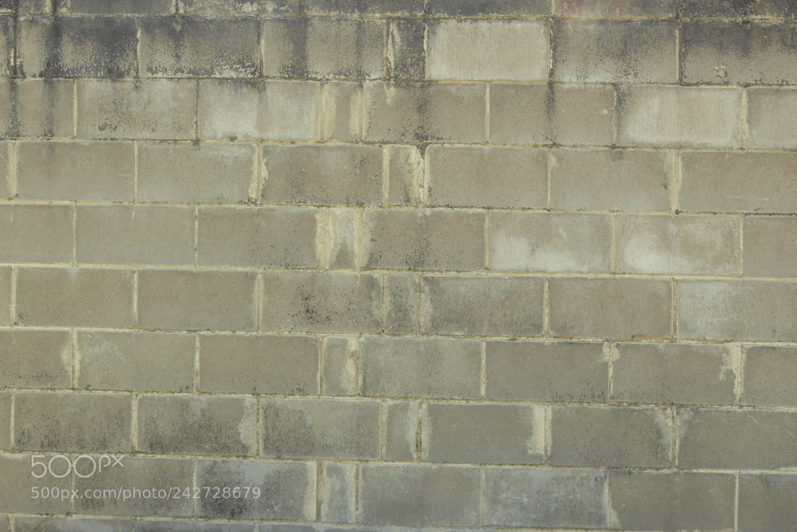 Canon EOS 1300D (EOS Rebel T6 / EOS Kiss X80) sample photo. Brick wall photography