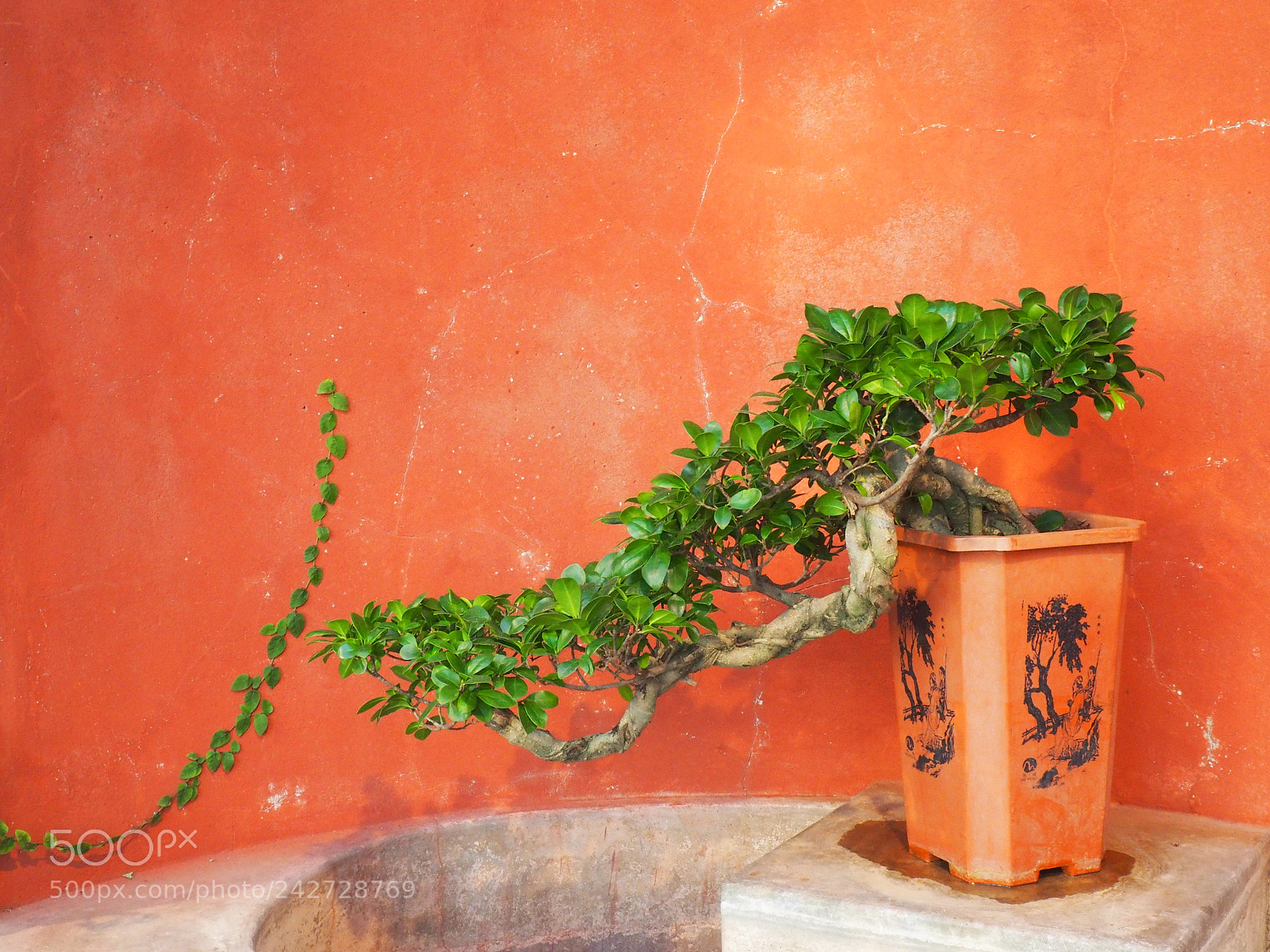 Olympus OM-D E-M10 II sample photo. Orange photography
