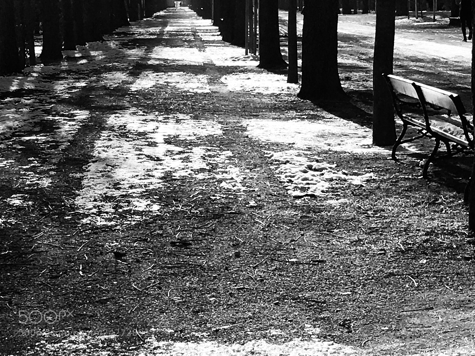 Apple iPhone 6s Plus sample photo. Solitude vs loneliness  photography