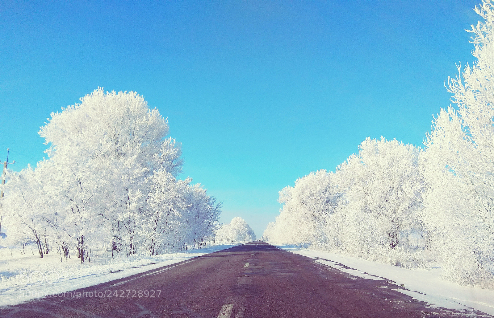 Xiaomi Redmi Note 4 sample photo. Winter photography