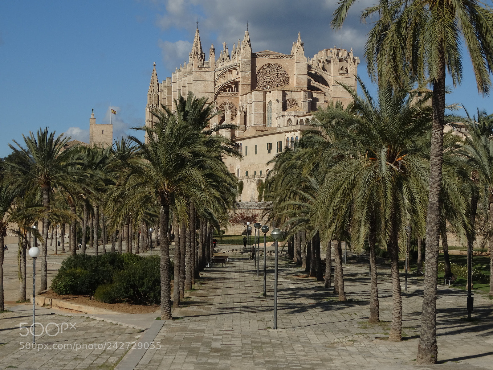 Sony Cyber-shot DSC-HX300 sample photo. Catedral de mallorca, seu photography