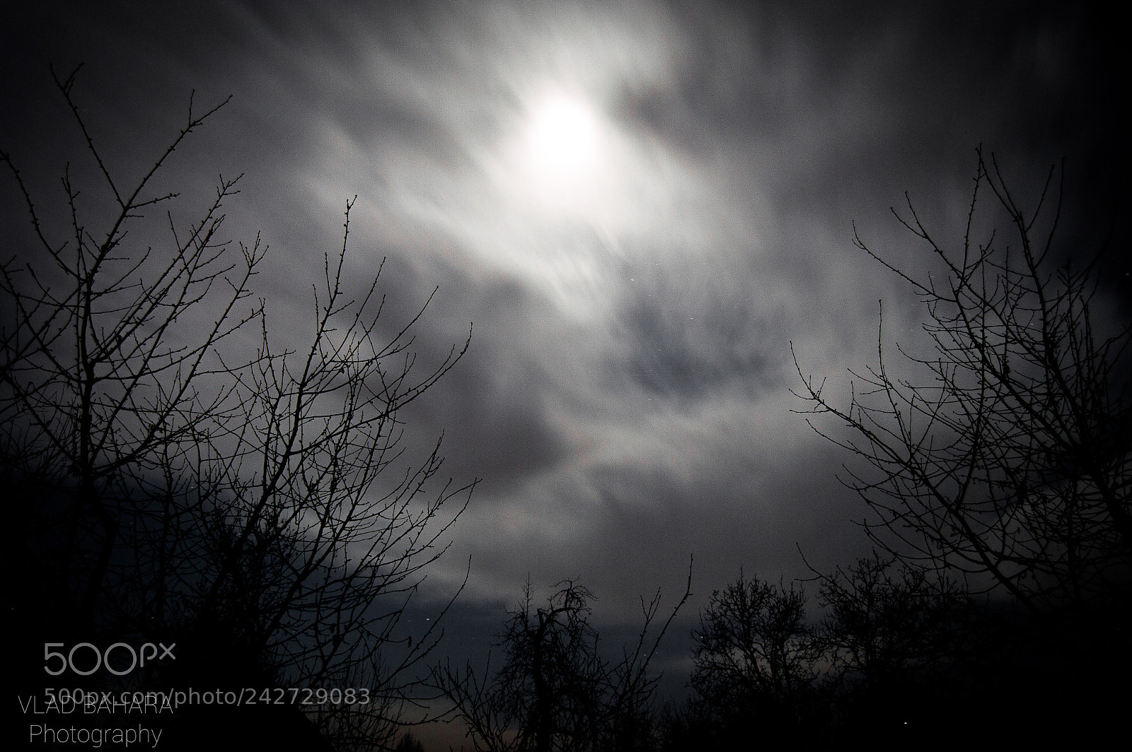 Nikon D3200 sample photo. . photography