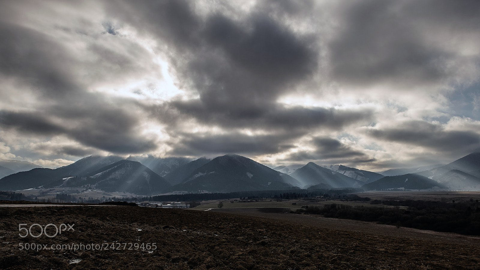 Nikon D850 sample photo. Cloudy morning photography
