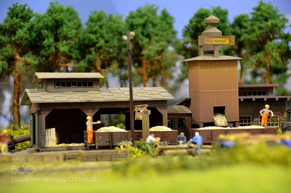Nikon D5100 sample photo. Tartak photography