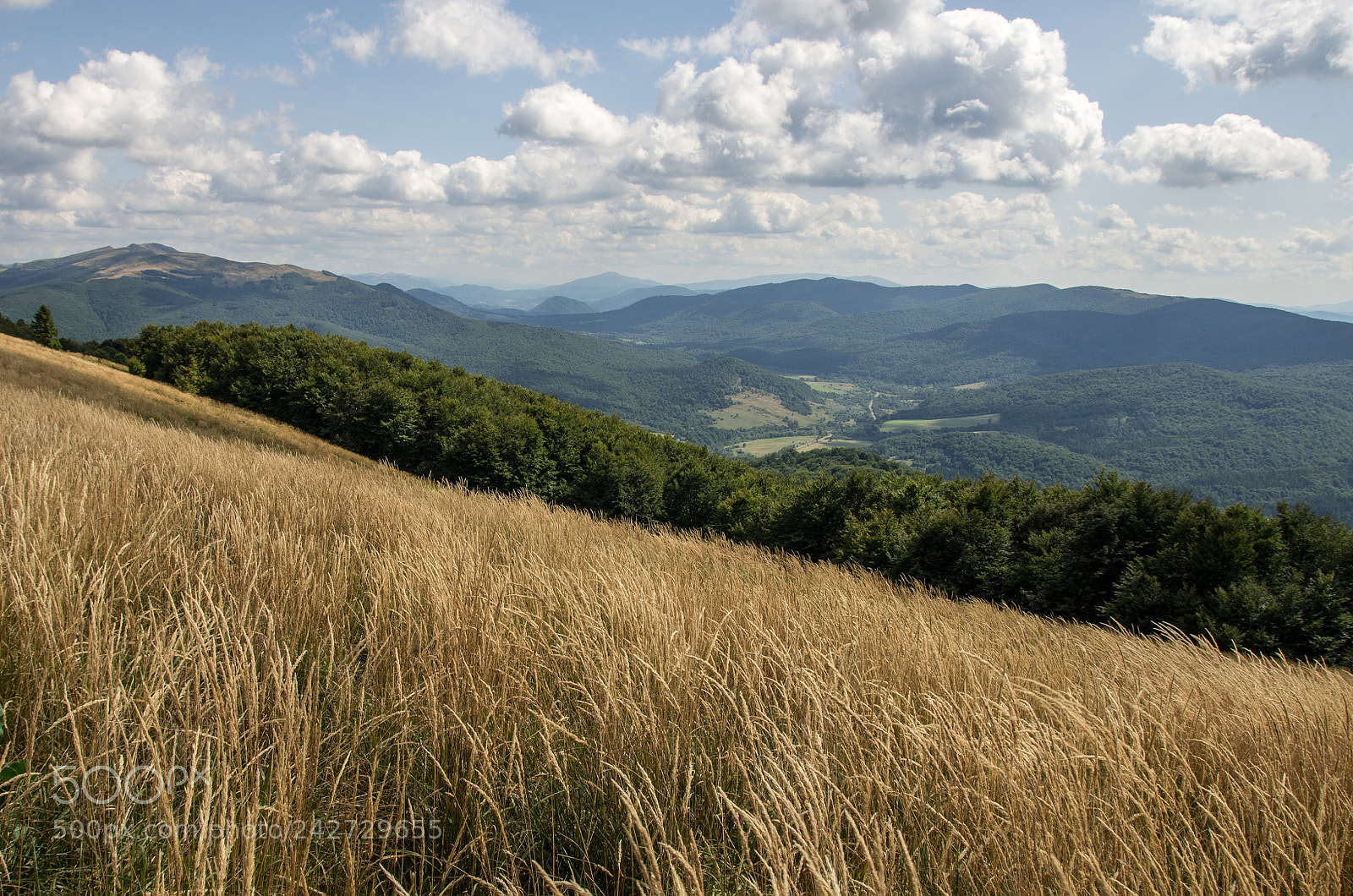 Pentax K-5 sample photo. View on tarnica mountain photography