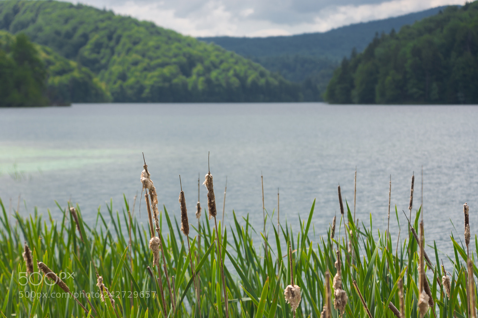 Nikon D7200 sample photo. Plitvice lakes national park photography