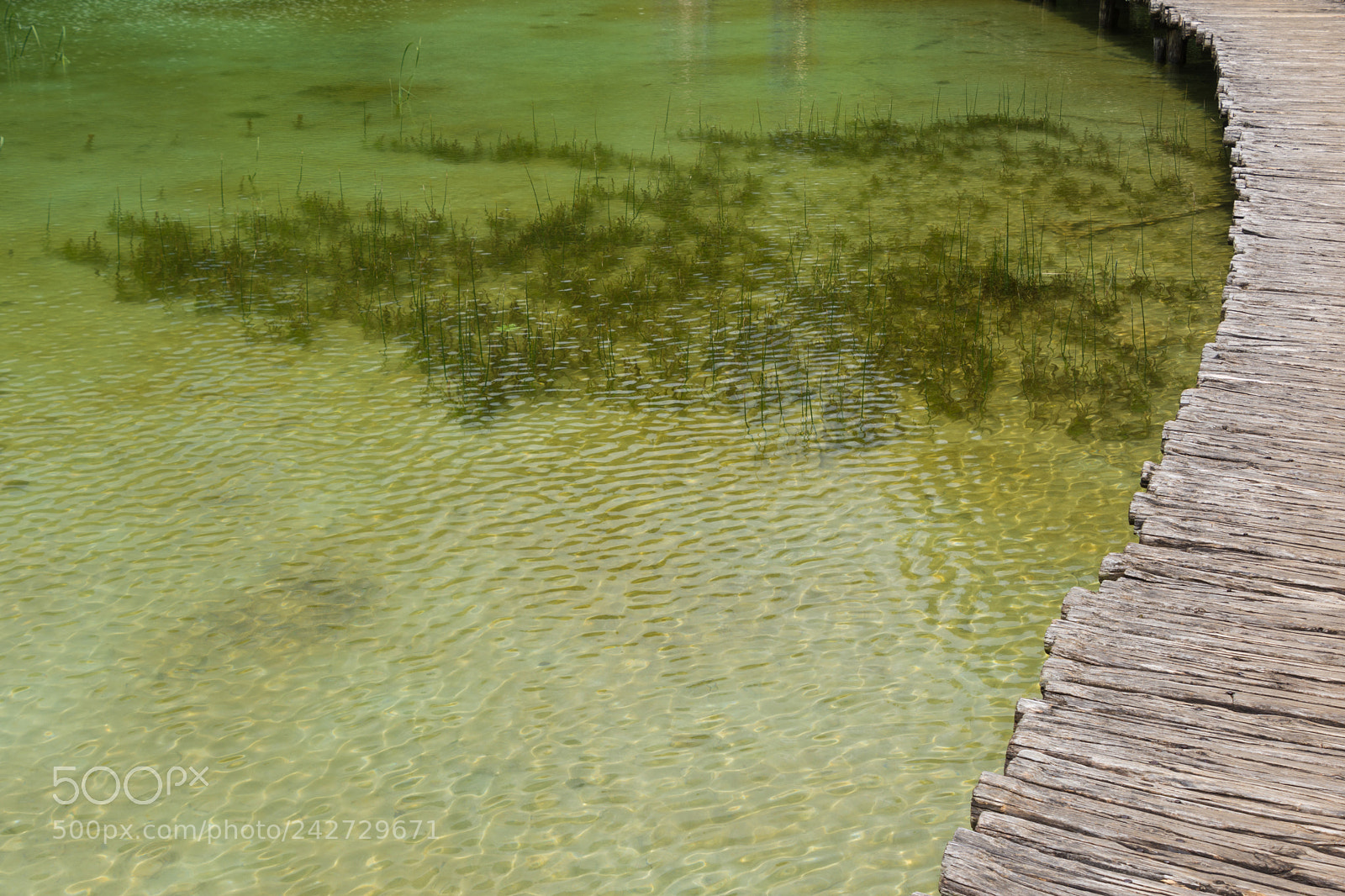 Nikon D7200 sample photo. Plitvice lakes national park photography