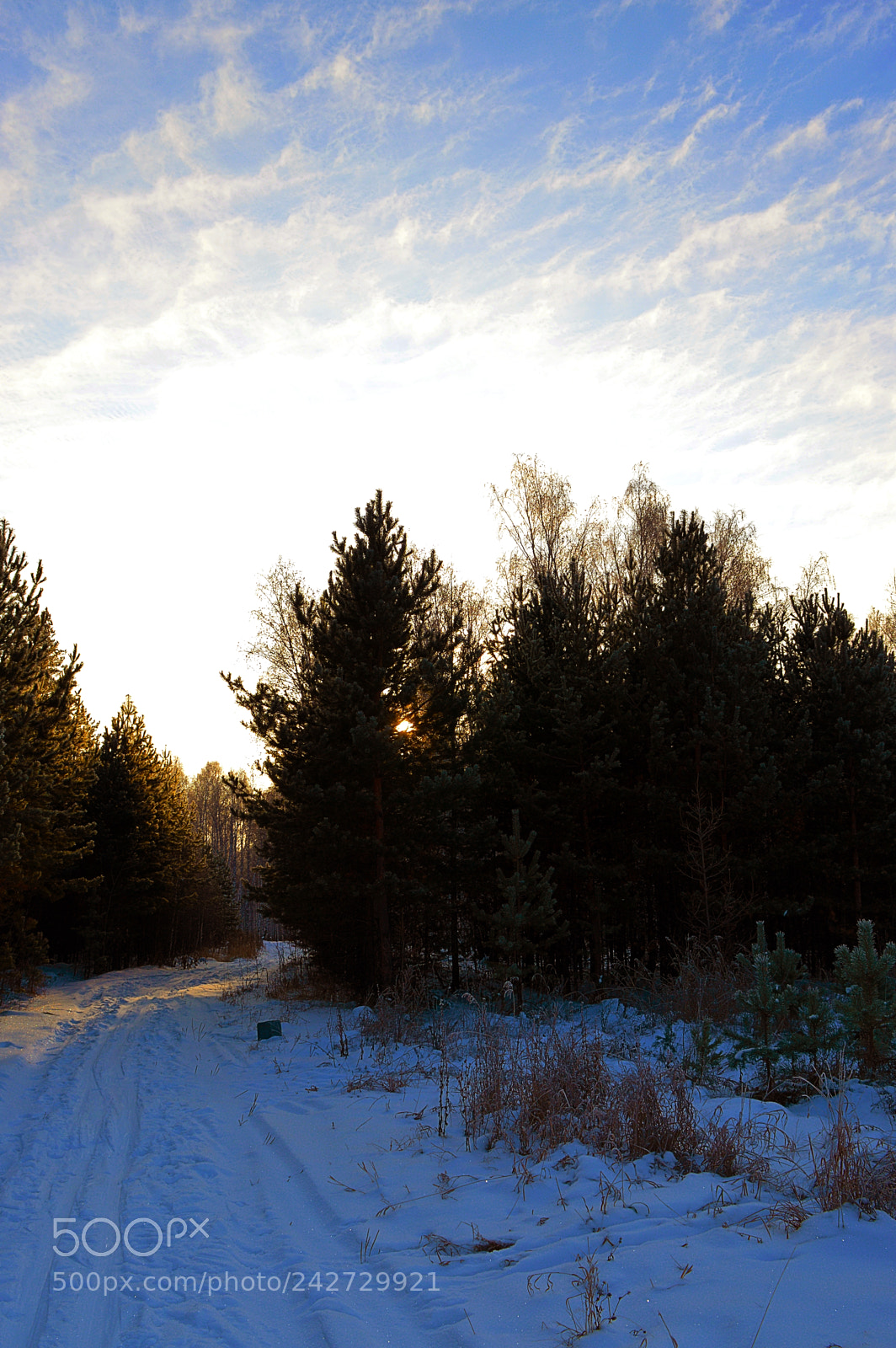 Nikon D3200 sample photo. Untitled photography