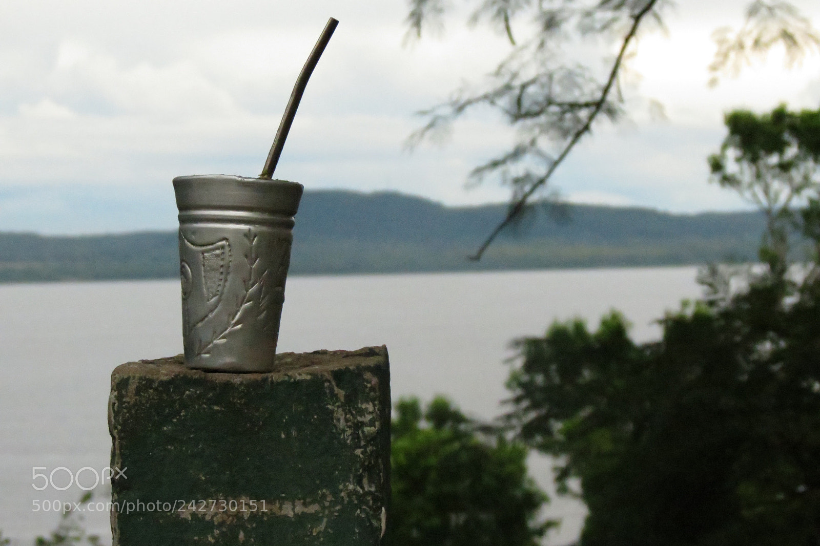 Canon PowerShot SX40 HS sample photo. El terere photography