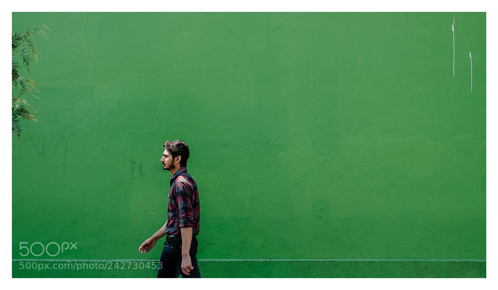 Fujifilm X-T20 sample photo. Green photography