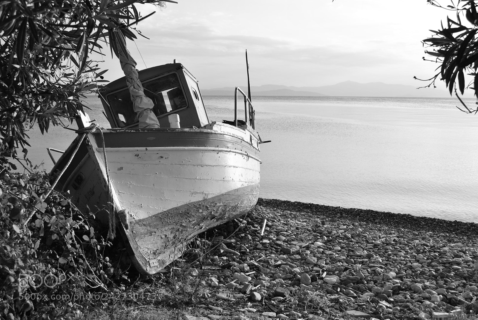 Nikon D3000 sample photo. Untitled photography