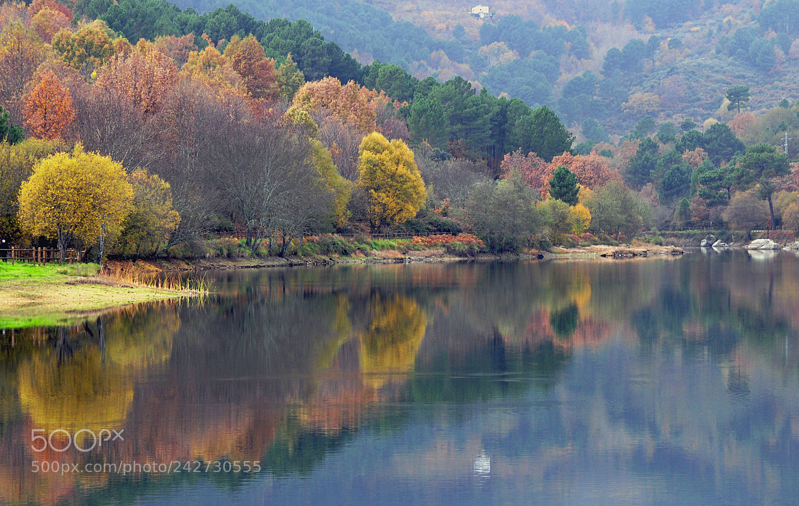 Nikon D90 sample photo. Autumn dreams.. photography