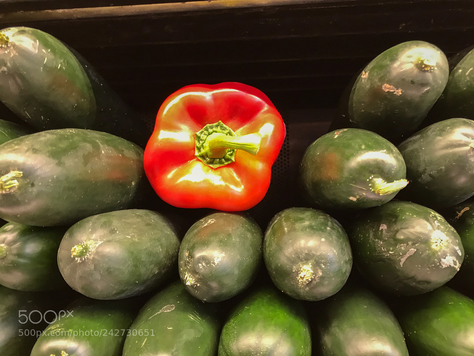 Apple iPhone 7 sample photo. Pepper gone rogue photography