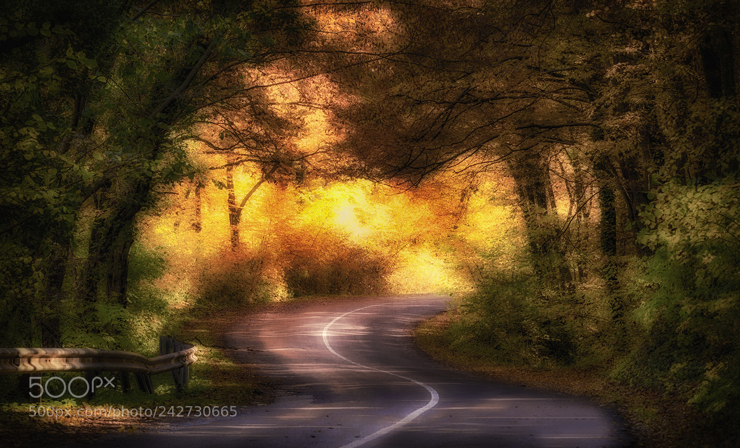 Nikon D610 sample photo. Winding road photography