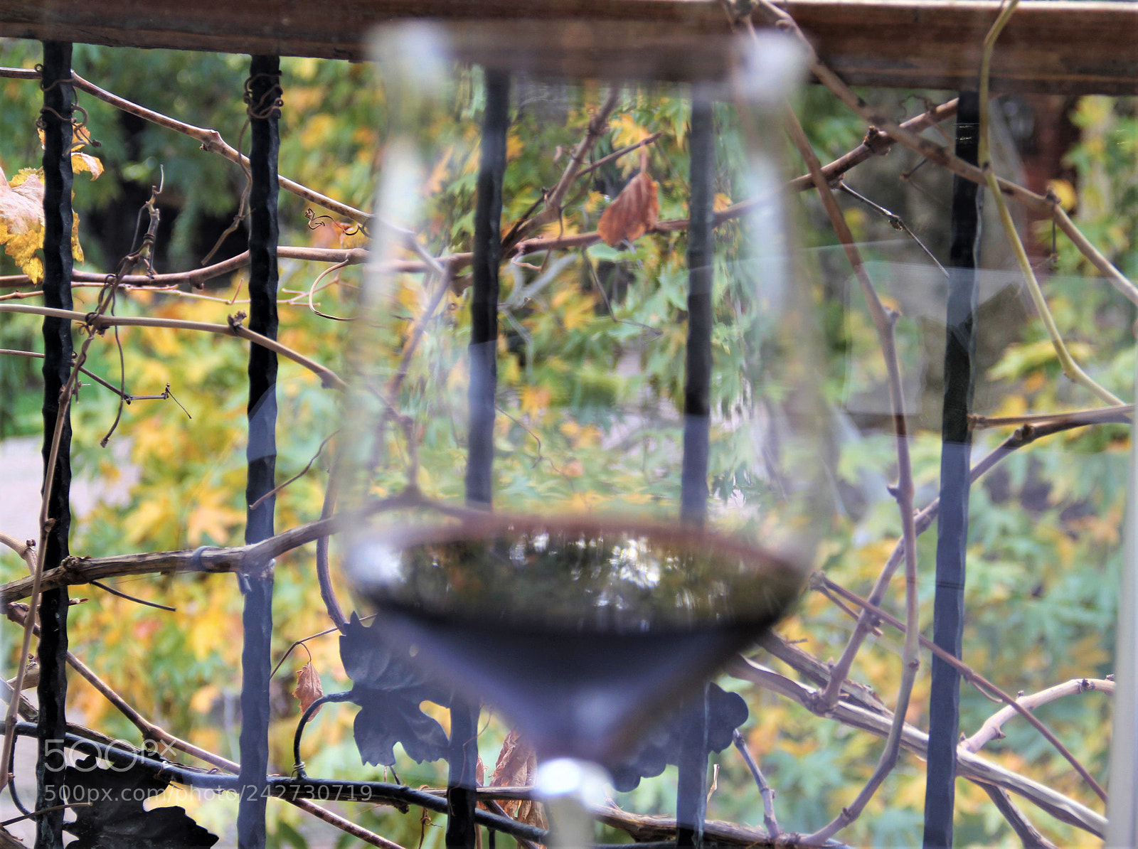 Canon EOS 60D sample photo. A glass of life.... photography