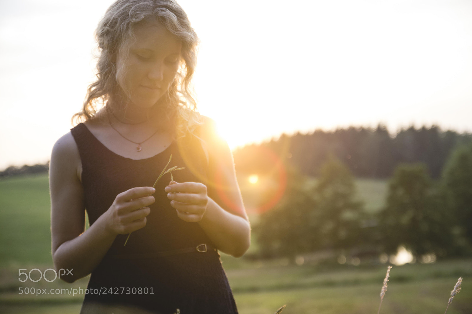 Nikon D7100 sample photo. L # - 3 photography