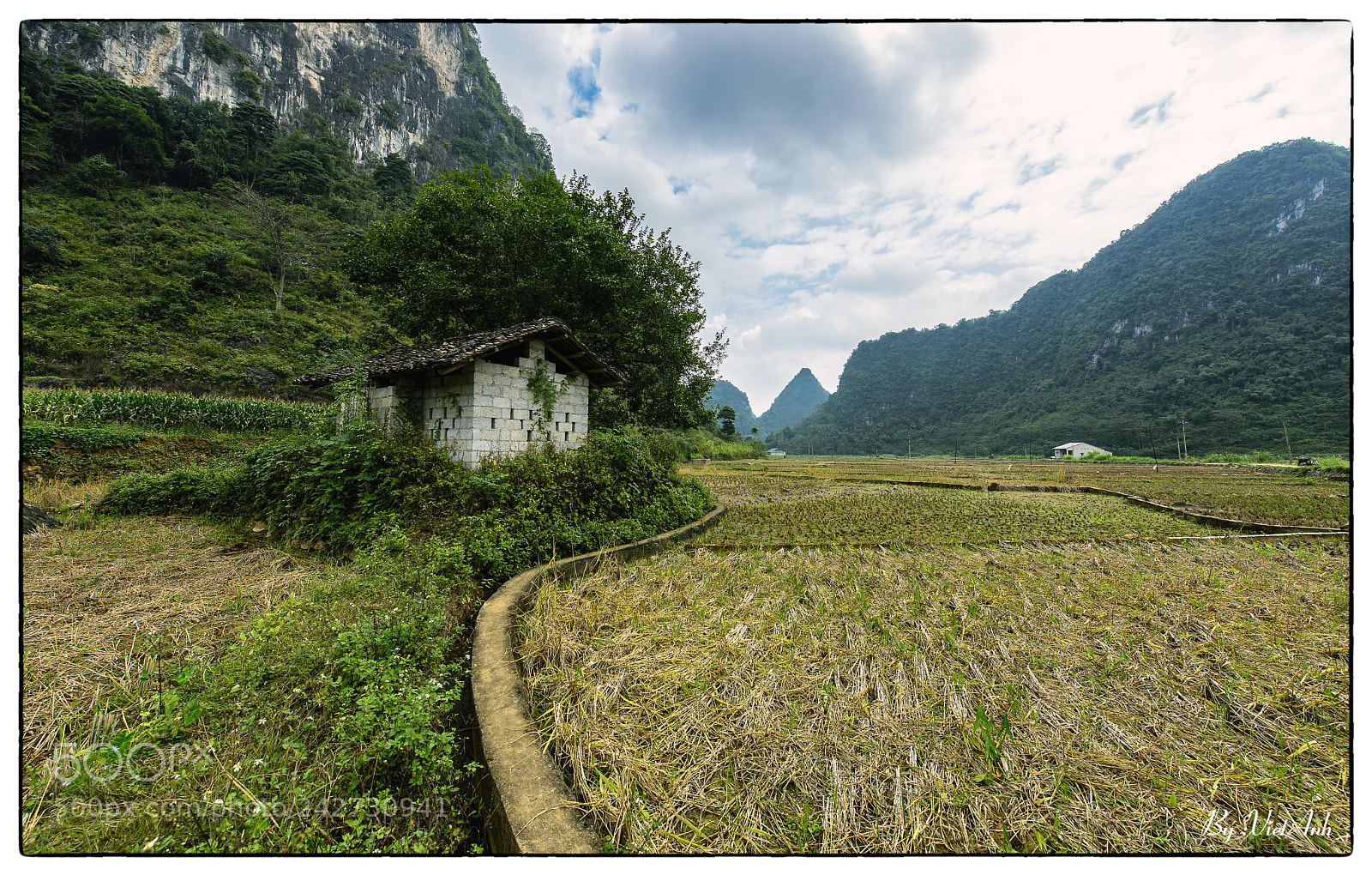 Nikon D610 sample photo. 8910-1.jpg photography