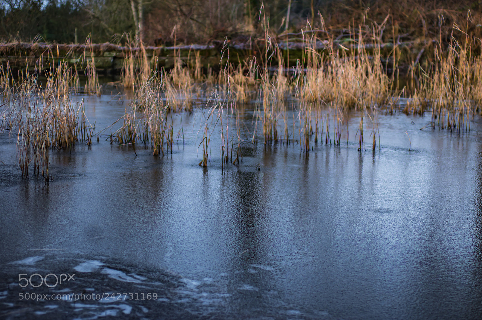 Pentax K-3 sample photo. Small pond photography