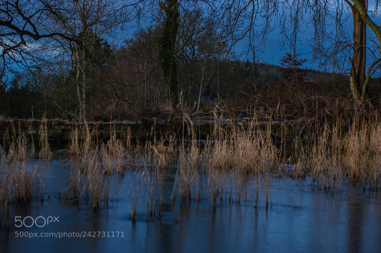 Pentax K-3 sample photo. Small pond photography