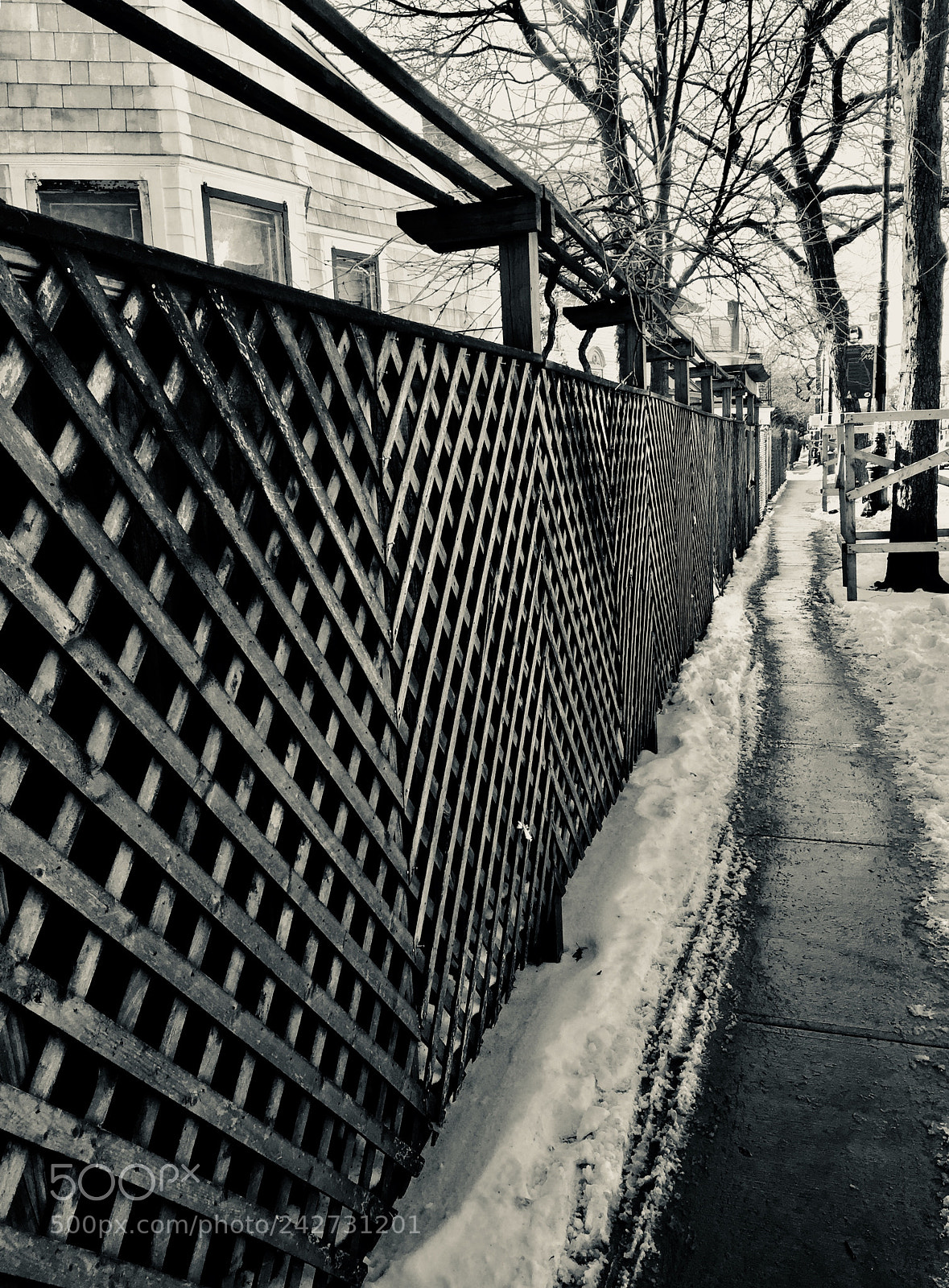 Apple iPhone 6 Plus sample photo. “fenced snow-narrowed path” photography