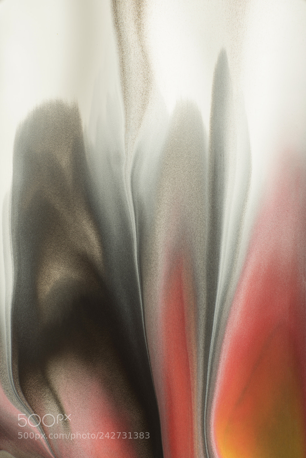 Sony a7R sample photo. Plate 5444 photography