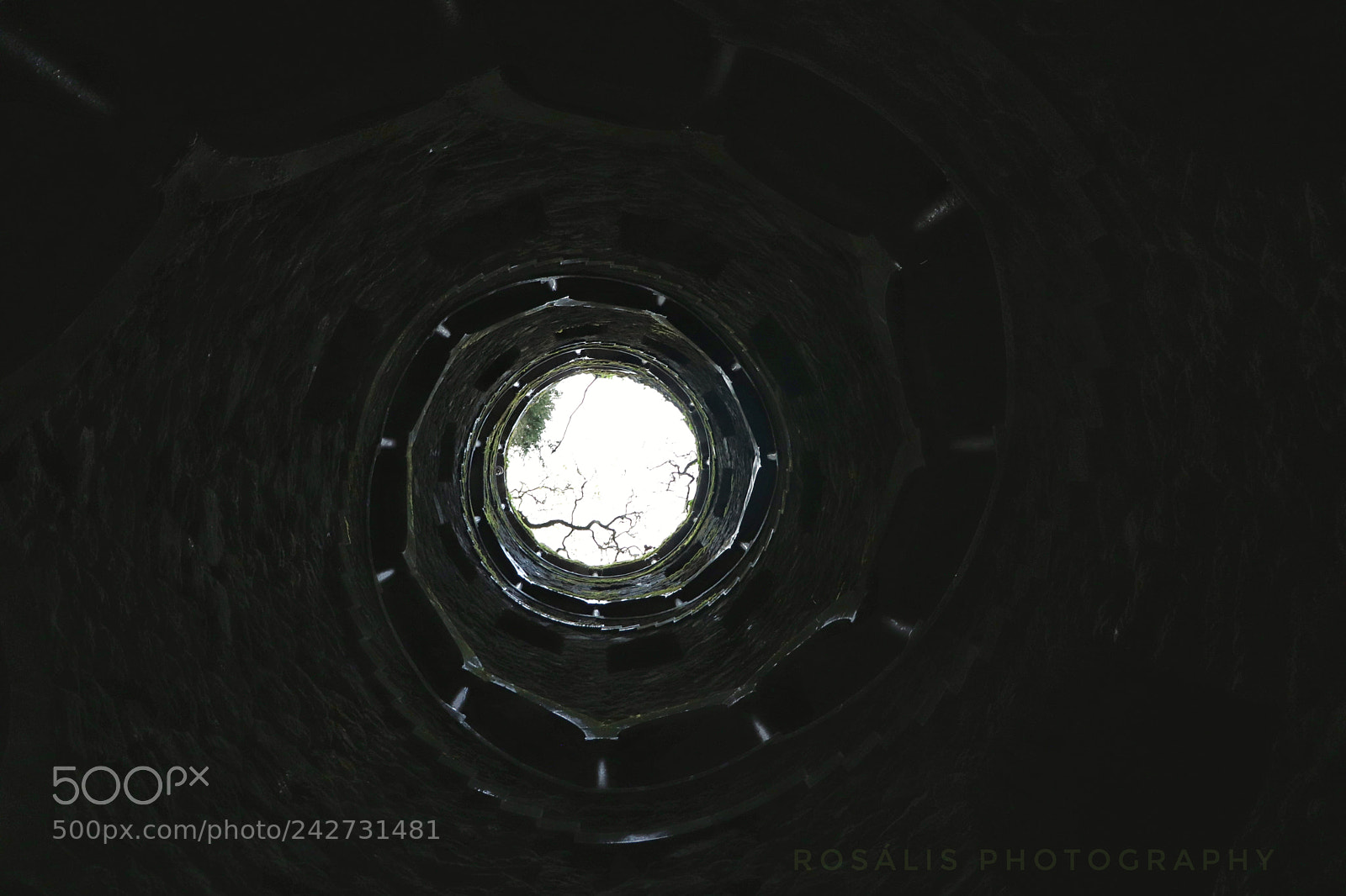 Canon EOS 800D (EOS Rebel T7i / EOS Kiss X9i) sample photo. Quinta da regaleira photography