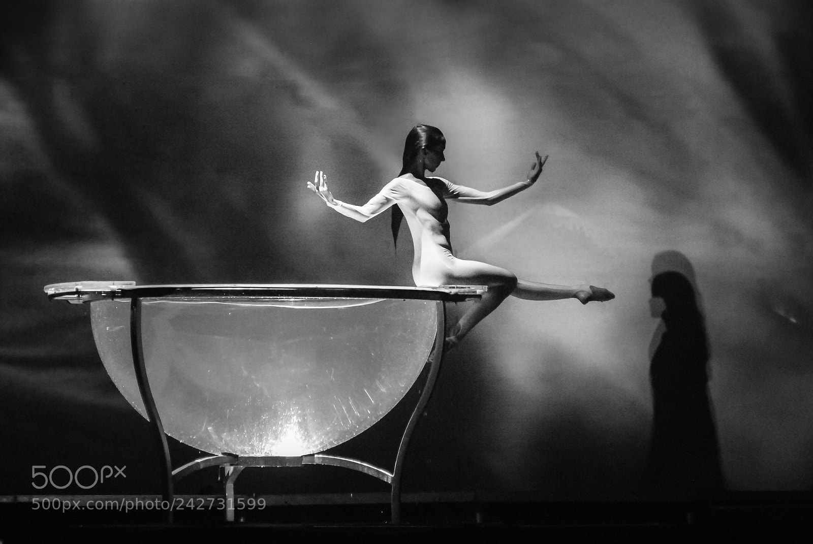 Nikon D80 sample photo. Circus photography