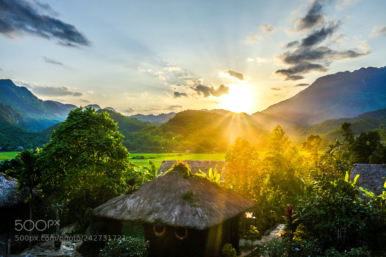 Nikon D600 sample photo. Mai chau photography