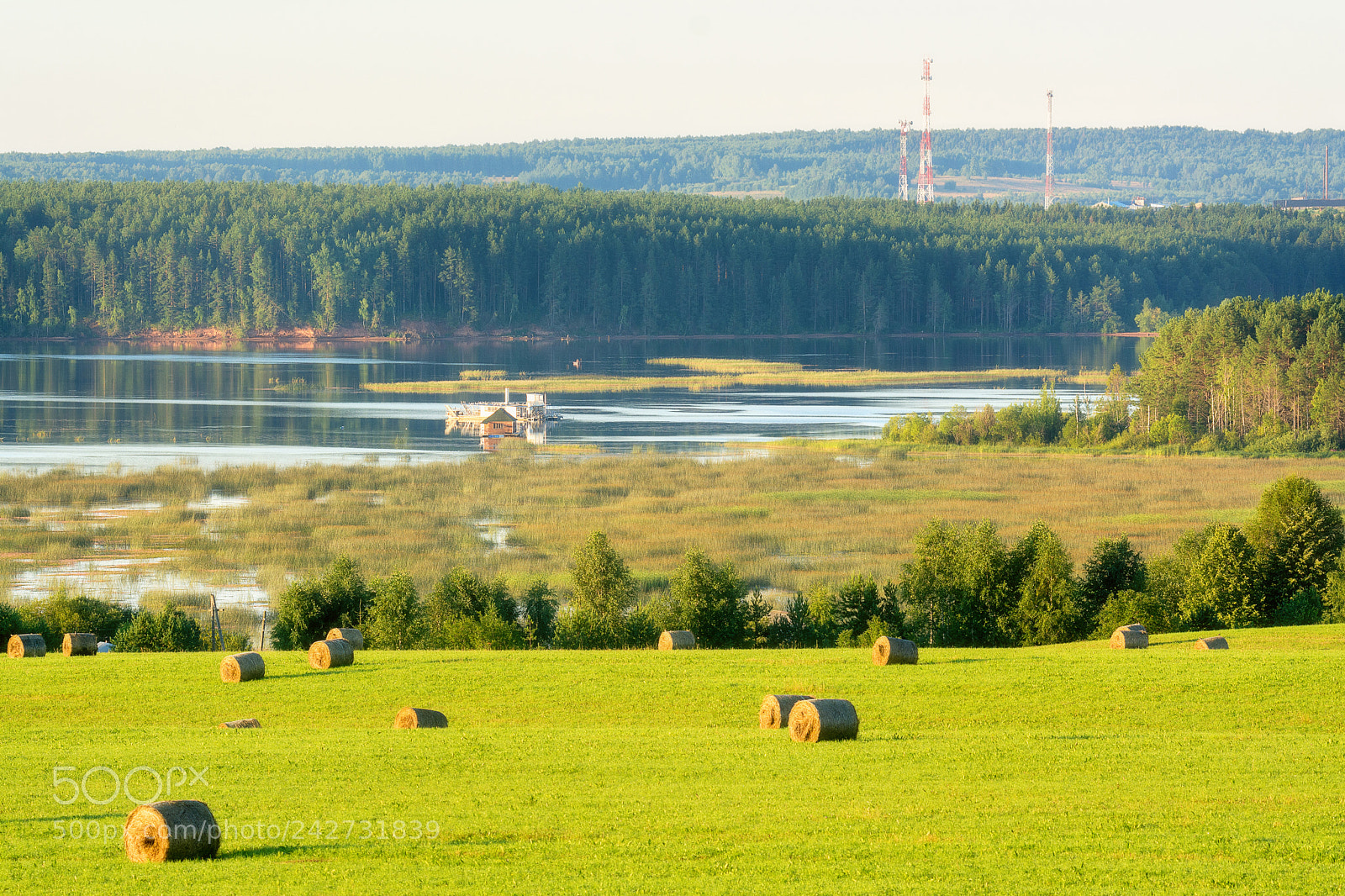 Nikon D7100 sample photo. 819. the view of photography