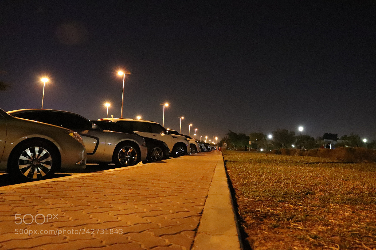 Canon EOS 77D (EOS 9000D / EOS 770D) sample photo. #abudhabi photography