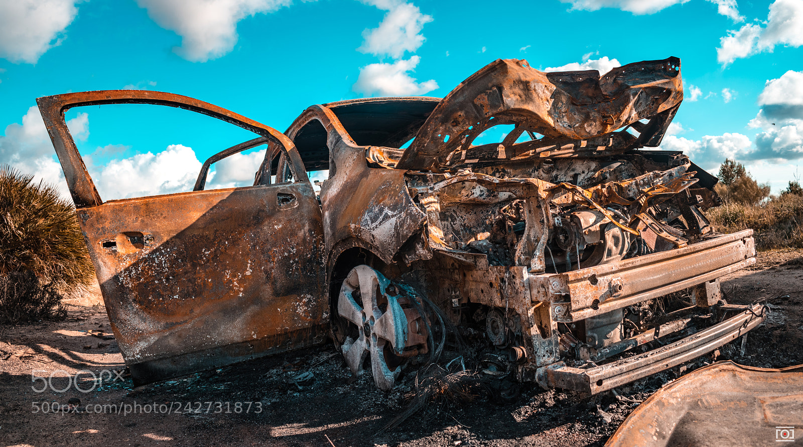 Nikon D5500 sample photo. Junk photography
