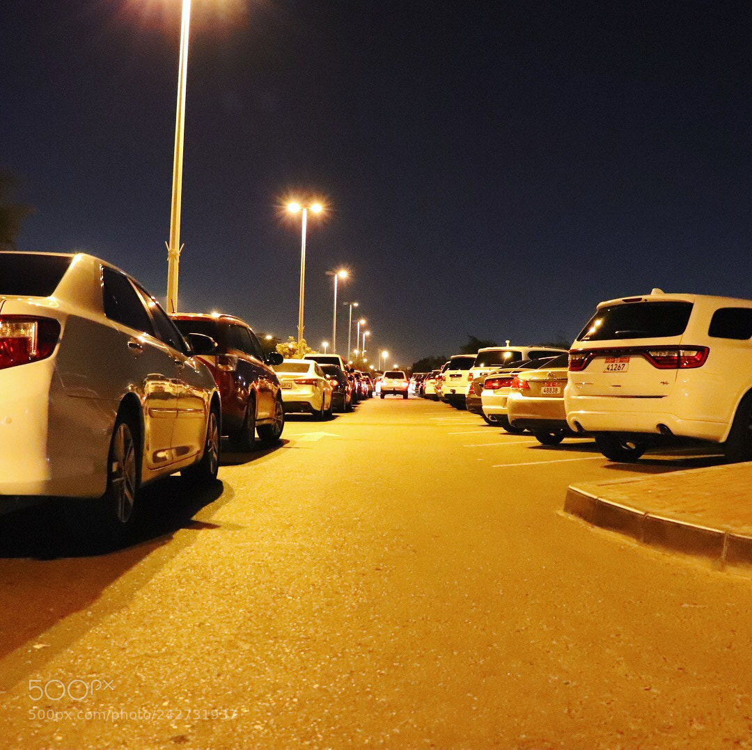Canon EOS 77D (EOS 9000D / EOS 770D) sample photo. Untitled photography