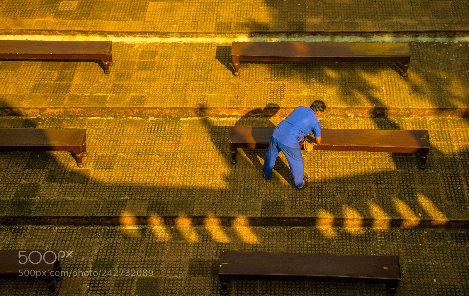 Nikon D7200 sample photo. Play of light and photography