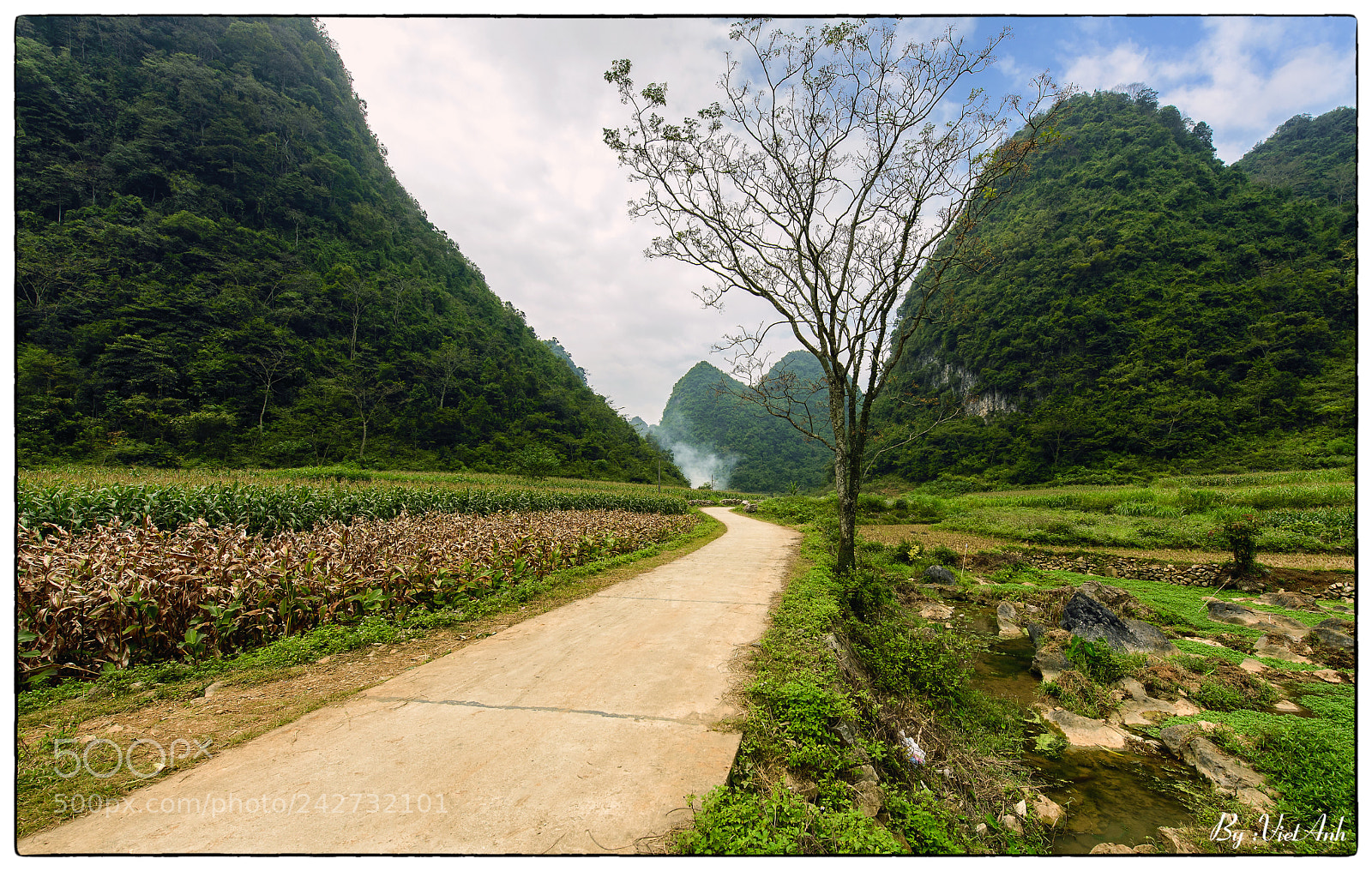 Nikon D610 sample photo. 8917-1.jpg photography