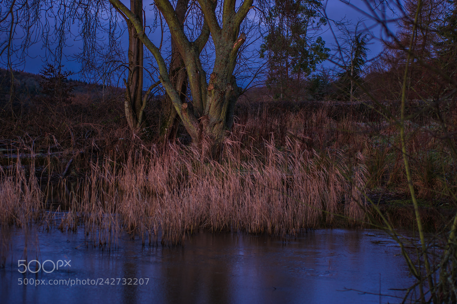 Pentax K-3 sample photo. Small pond photography