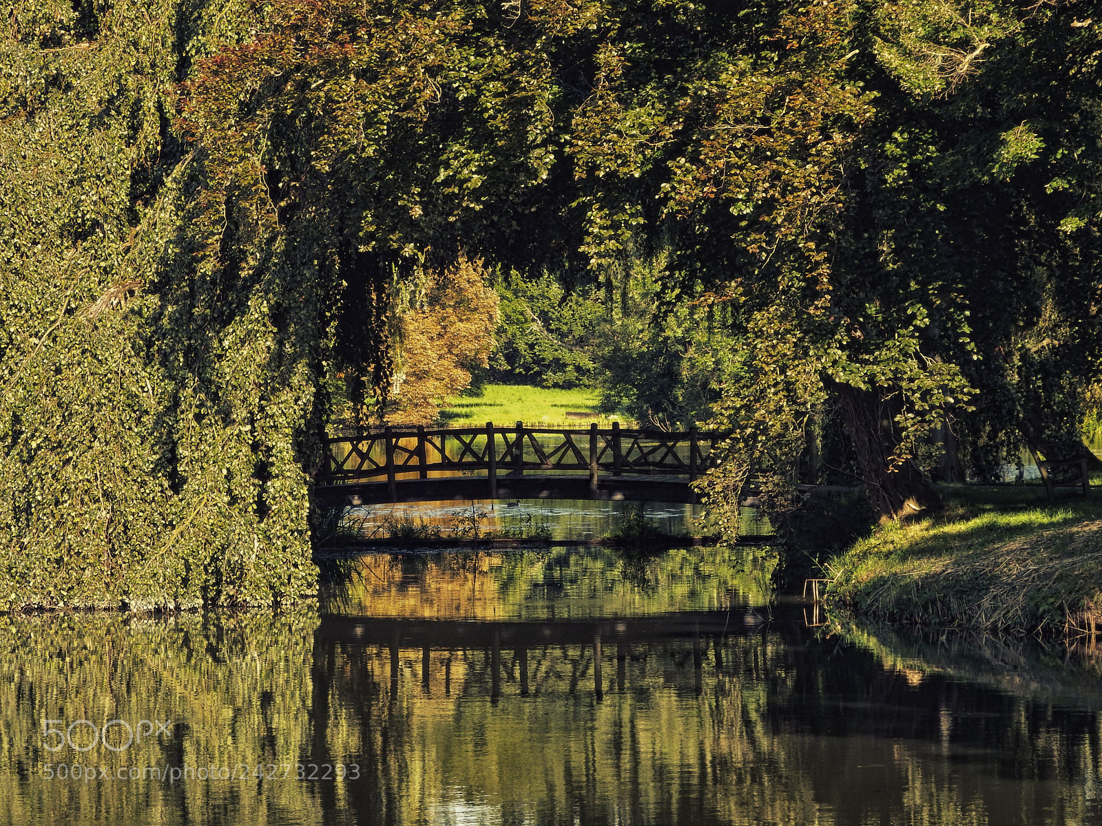 Fujifilm FinePix SL1000 sample photo. Wooden bridge photography