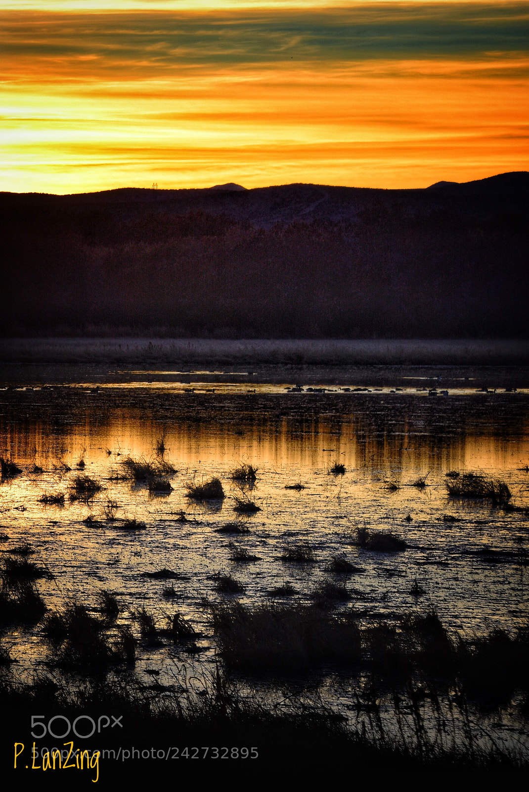Nikon D810 sample photo. Wetlands at sunset, new photography