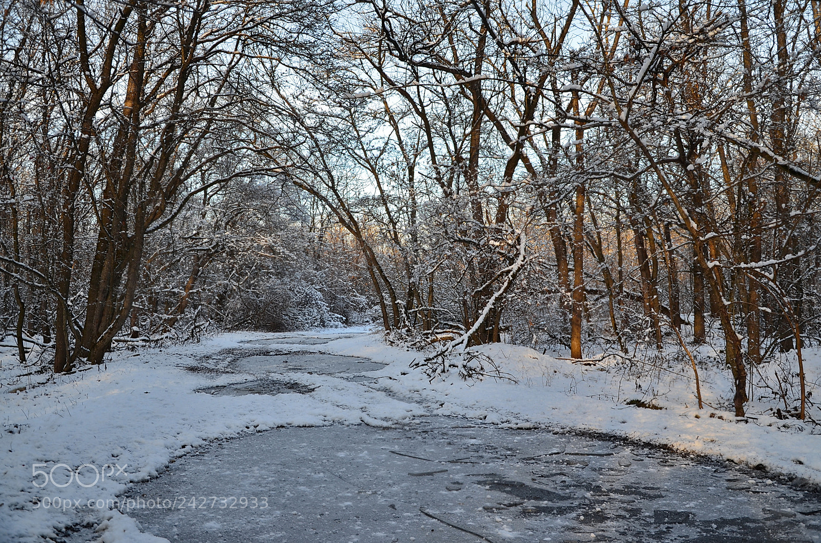 Nikon D5100 sample photo. Untitled photography