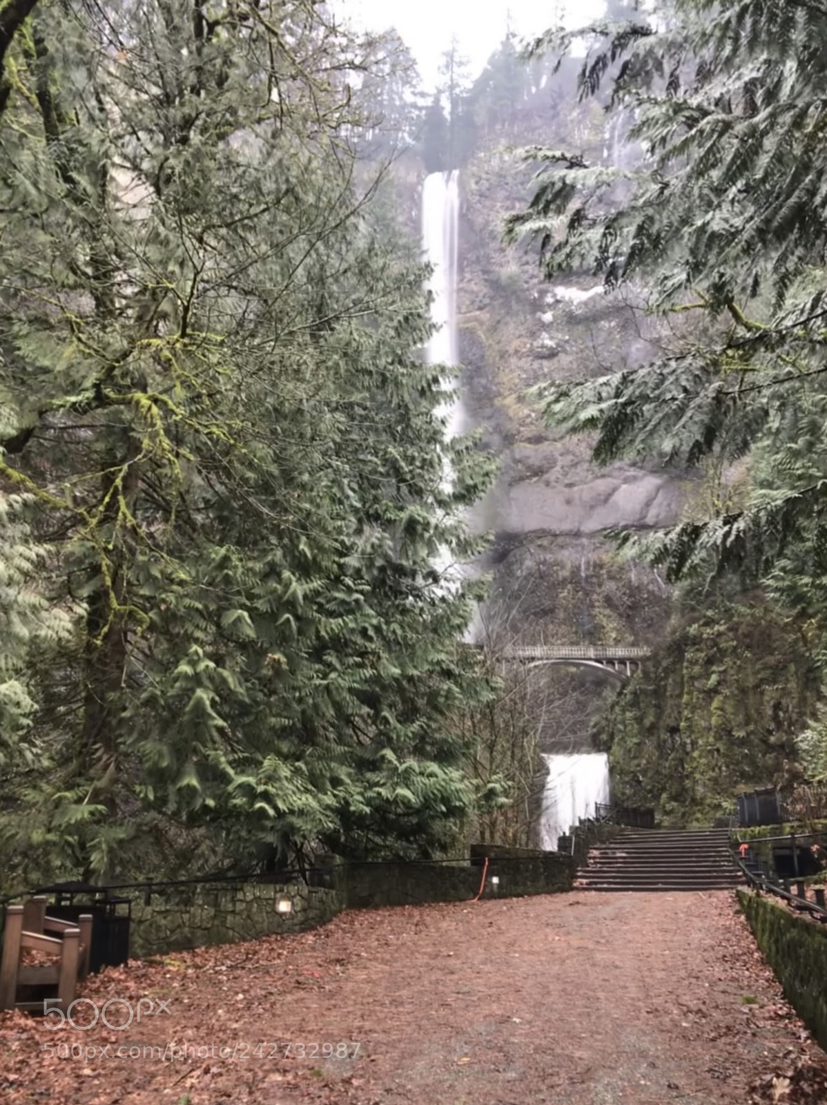 Apple iPhone 7 Plus sample photo. Multnomah falls oregon photography