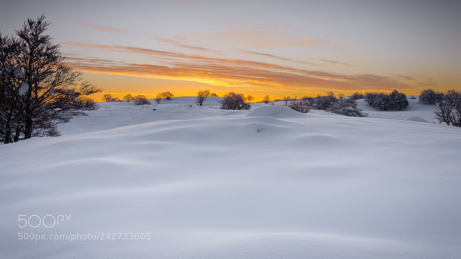 Nikon D7200 sample photo. Aubrac-levé de soleil photography
