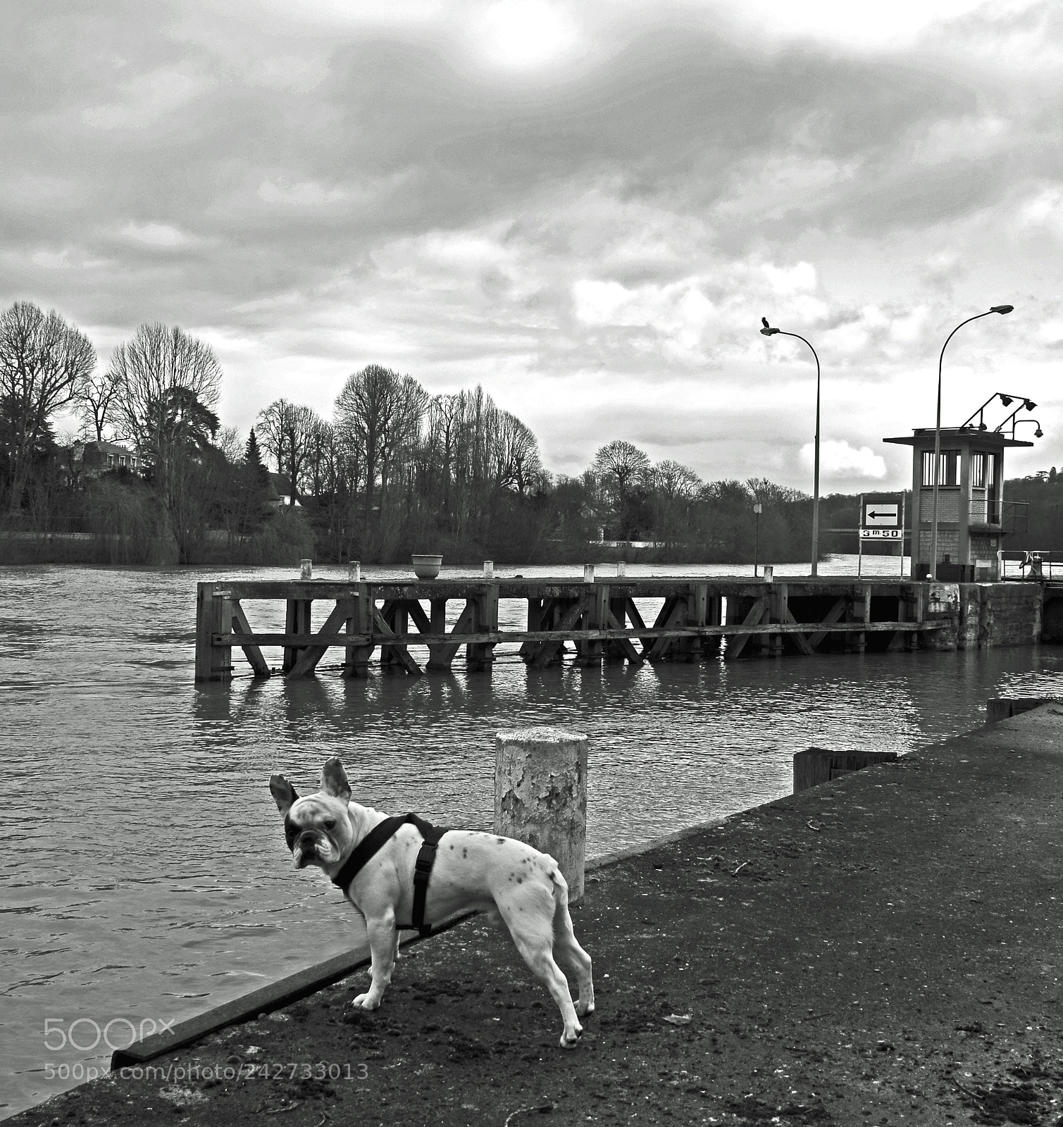 Nikon D7100 sample photo. Et alors c'est interdit photography
