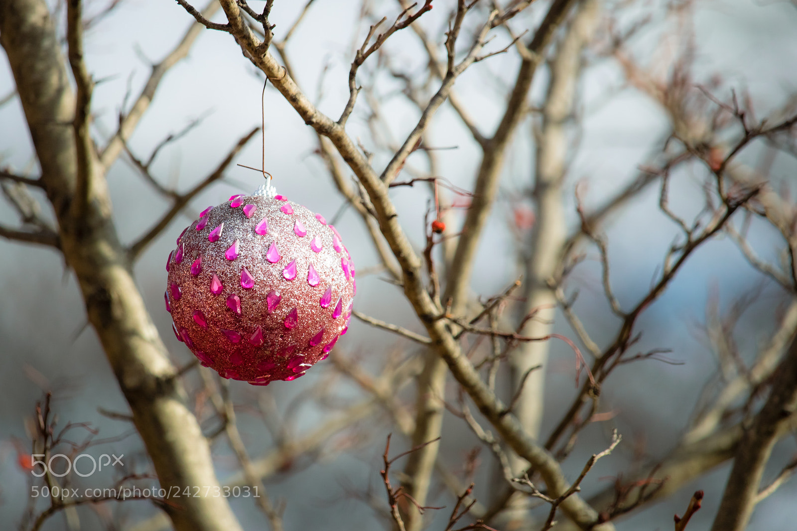 Canon EOS 750D (EOS Rebel T6i / EOS Kiss X8i) sample photo. Lonesome photography